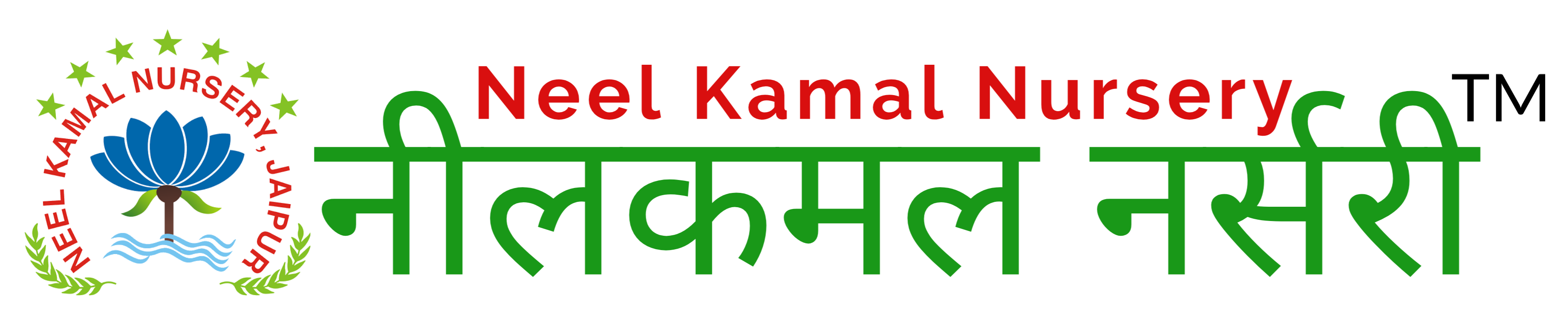 Neel Kamal Nursery | Best Home Garden and Landscaping services in Jaipur